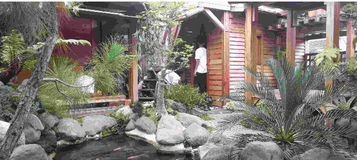 Harmoni Kayu Di Pelukan Sakura: Epos Sejati Rumah Kayu Di Kampung Damai