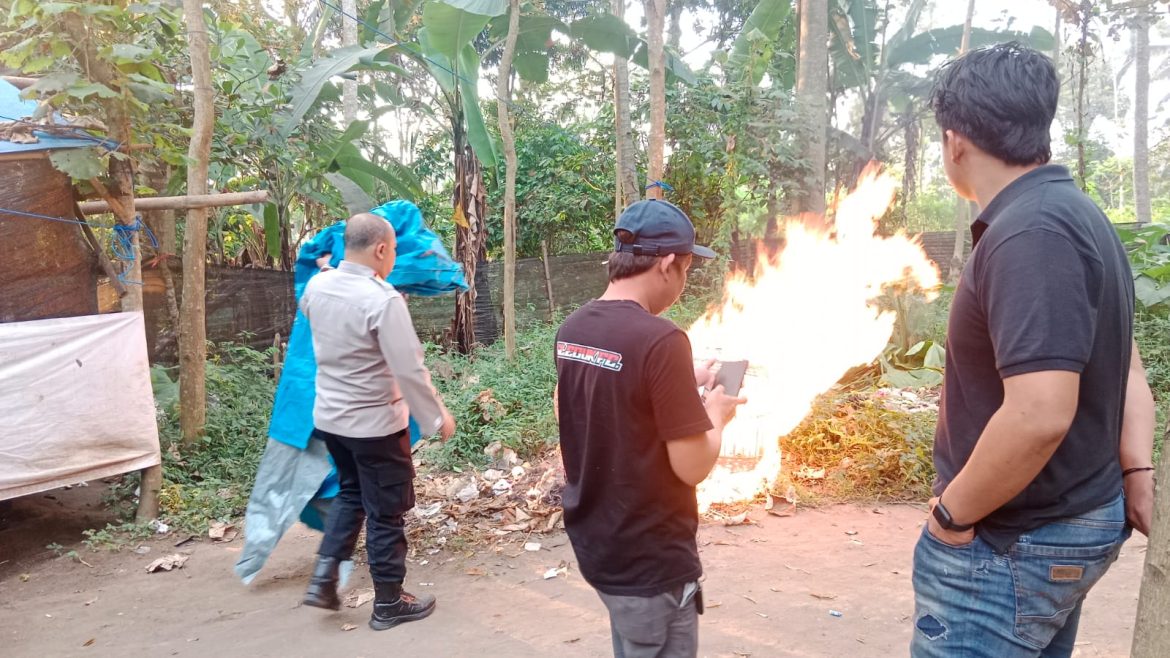 Komitmen Berantas Perjudian di Kabupaten Malang Polisi Bakar Sabung Ayam di Pakis
