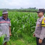 Bhabinkamtibmas Desa Balearjo Sambangi Sawah Jagung Milik Warga Binaan, Dukung Program Ketahanan Pangan