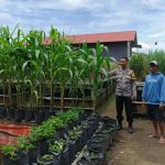 Bhabinkamtibmas Desa Kanigoro Bripka Fariz Wildan Kunjungi Pemilik Lahan Jagung untuk Dukung Ketahanan Pangan