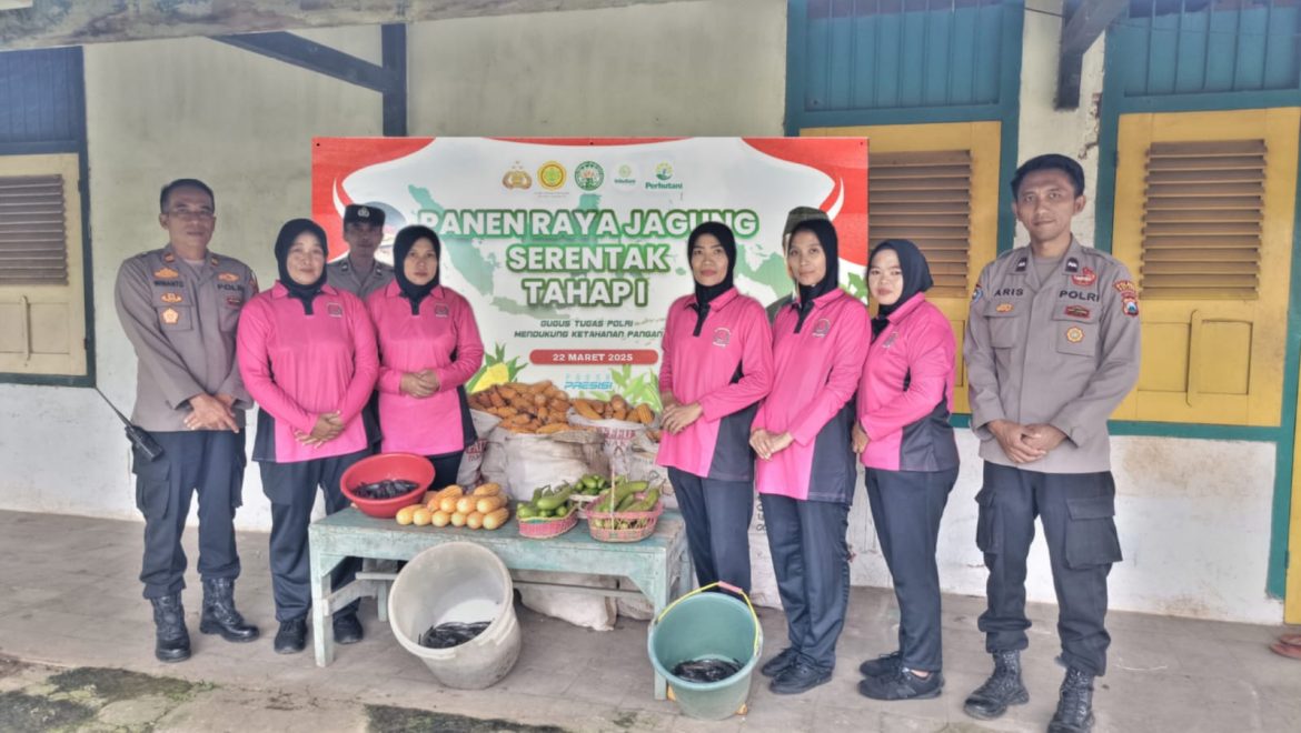 Polsek Tumpang Sukses Gelar Panen Raya, Dukung Ketahanan Pangan