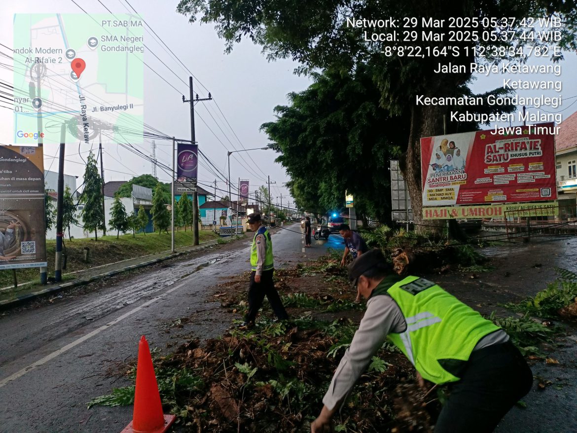 Polsek Gondanglegi Bantu Evakuasi Dahan Patah di Jalan Raya Akibat Hujan Deras