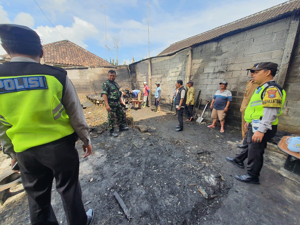 Kandang Terbakar di Dau Malang, 26 Kambing dan 15 Ayam Terpanggang
