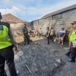 Kandang Terbakar di Dau Malang, 26 Kambing dan 15 Ayam Terpanggang