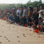 Polsek Donomulyo Hadiri Kegiatan Seremonial Pelepasan Tukik Penyu di Pantai Modangan