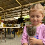 Mahasiswa Ilmu Komunikasi UMM Hadirkan Inovasi untuk Jangkau Remaja dan Dewasa di Wisata Petik Madu