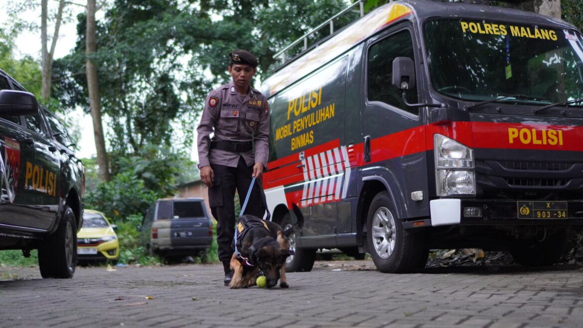 Mengenal Alice, Anjing K9 Polres Malang Bersertifikasi SAR Cadaver Siap Dukung Mitigasi Bencana