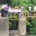 Gerak Cepat Polisi dan SAR Gabunngan Evakuasi Lansia Terbawa Arus di Pintu Air DAM Bululawang