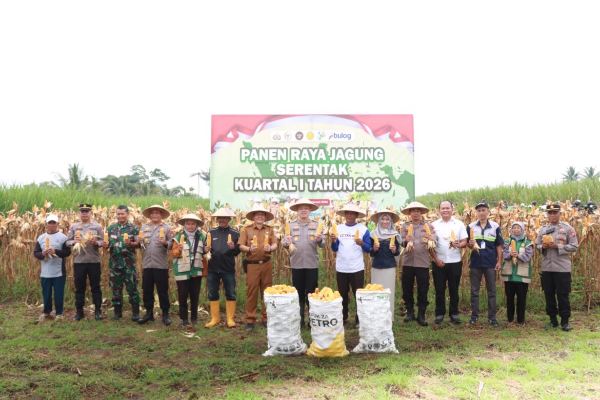 Polres Malang Panen Raya Jagung, Hasil 8 Ton Disiapkan untuk Dukung Stok Pangan