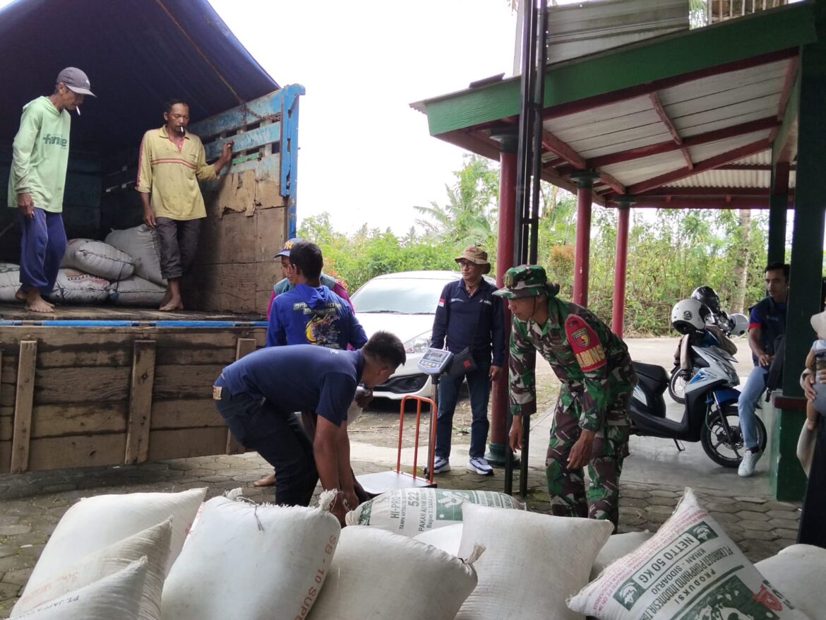 Kodim 0818/Malang-Batu Laksanakan Pendampingan Kegiatan Serapan Gabah bersama Perum Bulog di Desa Perumdowo Tumpang