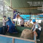 Lagi! Polres Malang Bongkar Lokasi Diduga Arena Sabung Ayam di Bantur Malang